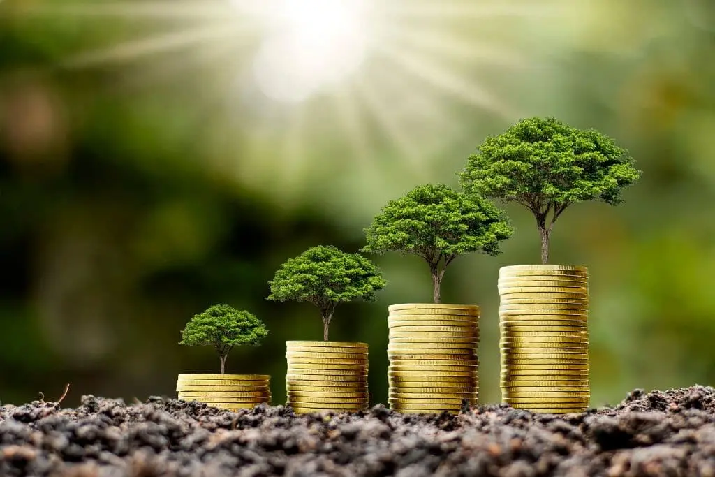 Eco Investing: The Rise of Green Stocks and Sustainable Investing